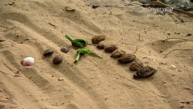 Ostrov.s.Bearom.Grillsom.5.seria.by.Bad.Coder