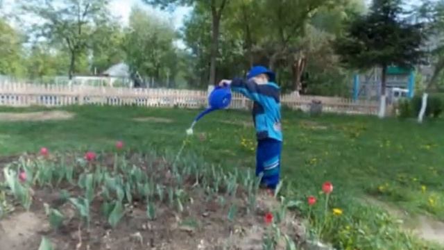 Цветочный хоровод 2013 смотреть онлайн