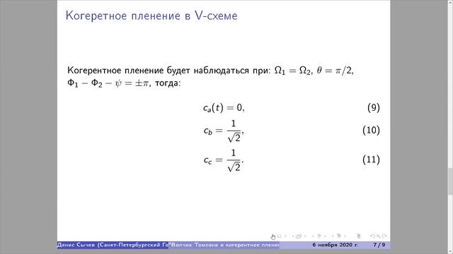 QOL Online Seminar 2020.11.06 Zoom 2