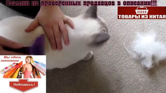 🆘ТОП 10 НЕРЕАЛЬНО КРУТЫХ ТОВАРОВ с Алиэкспресс! Лучшее на AliExpress! смотреть онлайн