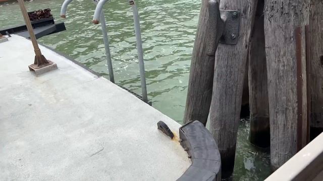 ИТАЛИЯ НЕ ПЕРЕСТАЕТ УДИВЛЯТЬ / ВЕНЕЦИАНСКАЯ ЛАГУНА / МУРАНО И СКАЗОЧНЫЙ БУРАНО смотреть онлайн