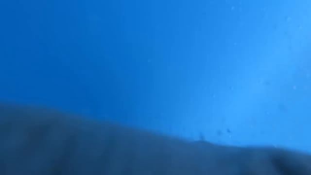 ЗАДОЛБАЛО ВСЕ смотреть онлайн