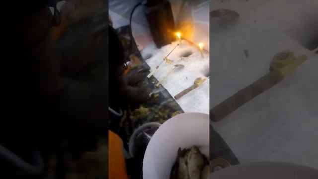 Озеро дубровное Шадринск Курганская обл 11.01.2018 смотреть онлайн