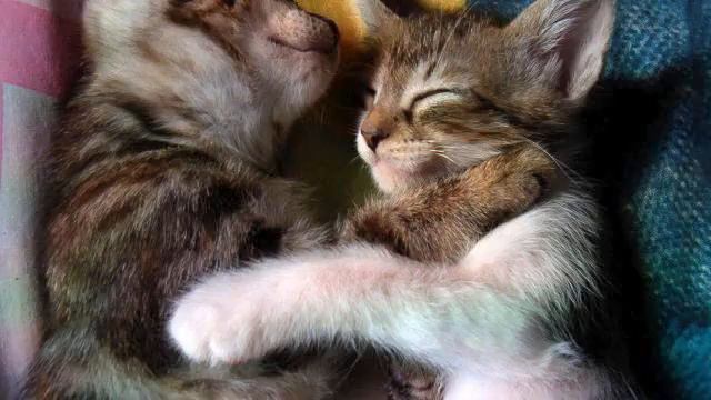 Музыка вдохновляющая. Просто класс! Океан любви! смотреть онлайн