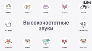 4 вида неприятных звуков, которые кошки терпеть не могут