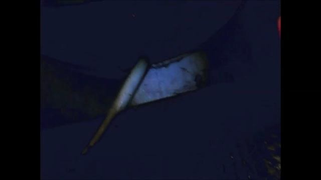 Welcome to Machine.mp4