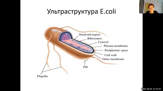 Уборка - путь к гармонии