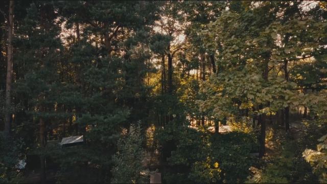 Магия Forest Dew - единственной стеклянной оранжереи для праздников в Москве смотреть онлайн