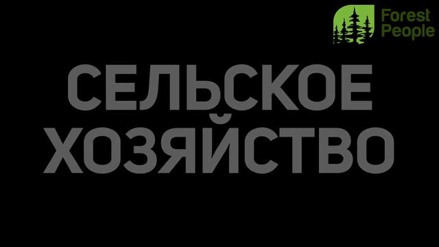 Дефицит питьевой воды: причины, последствия и пути решения этой проблемы смотреть онлайн