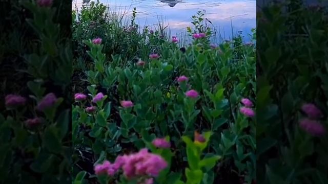 Предсказания о переходе в новый мир Все меняется старый мир отмирает новый мир возрождается смотреть онлайн