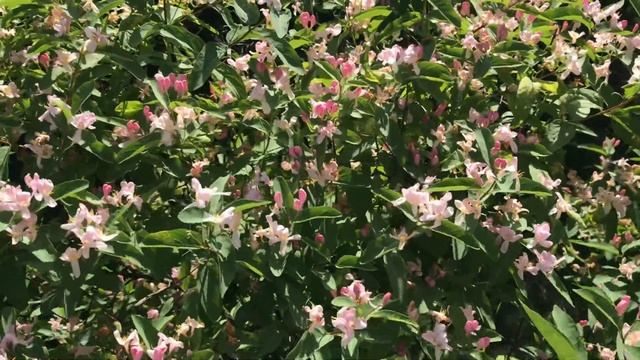 27 мая народный праздник Сидора Огуречника. Что нельзя делать. народные приметы. смотреть онлайн