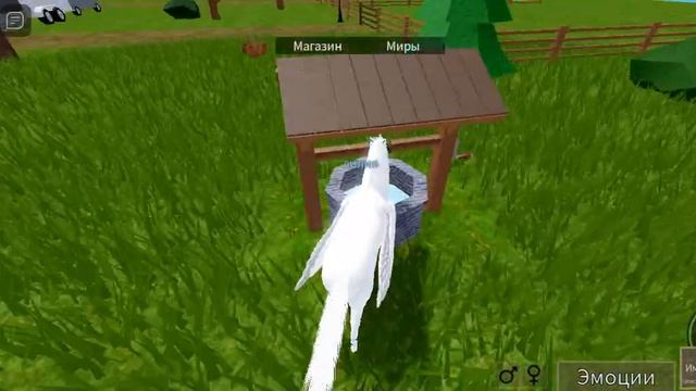 Roblox немножко историй про лошадок??? смотреть онлайн