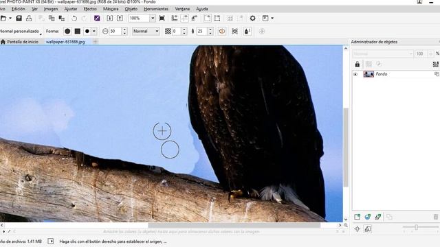 HERRAMIENTA CLONAR COREL PHOTOPAINT смотреть онлайн