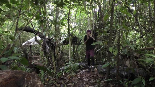 Jews Harp/Voice improv in the Jungle 🎵 смотреть онлайн