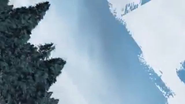 Ситрома Секюрити смотреть онлайн