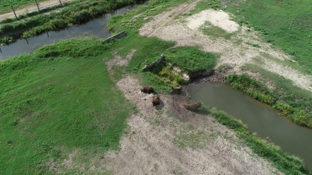 Горностайполь 2 смотреть онлайн