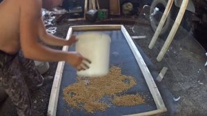 Проращивание и сушка ячменого солода