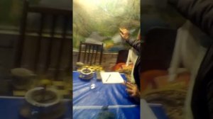 Уютный гараж.(Для мужиков)