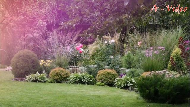 ?Скоро весна Идеи которые вам точно пригодятся / Interesting ideas for the garden plot / A - Video смотреть онлайн