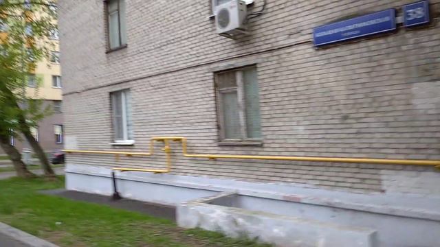 Куда в Москве подевались все подвальные кошки? 🙀😿😾