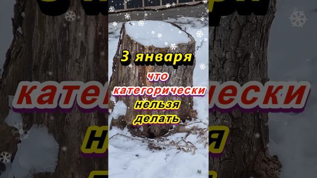 3 января народный праздник Петров день: что категорически нельзя делать #приметыдня #приметы смотреть онлайн