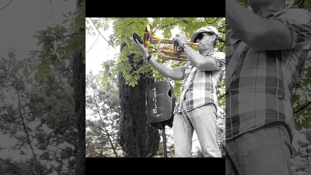 #streetmusic #trombone #soli смотреть онлайн