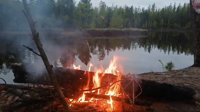 По рекам Ямала. Река Пяку-Пур. Ловим гигантских язей. Остался один в лесу. смотреть онлайн