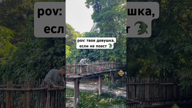 Ты знаешь кому отправить 😂 #твичлучшее #блог #лайф #стрим #стримеры #тренды #twitch смотреть онлайн