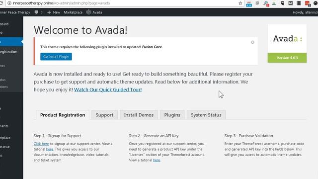 Install the WordPress Avada Theme смотреть онлайн