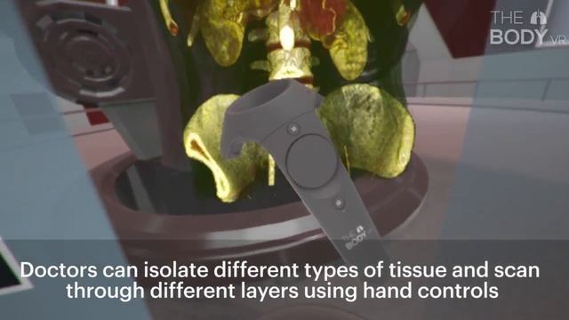 The Body VR: Anatomy Viewer - Teaser смотреть онлайн