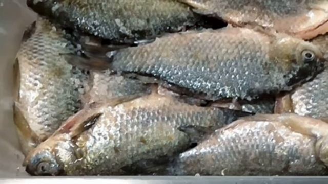Как сушить карася