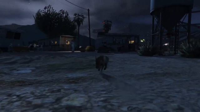 how to find animal plants in GTA V part 12 смотреть онлайн