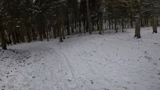 First snow. Riding InMotion V5F in forest path. [Vlog_021] смотреть онлайн