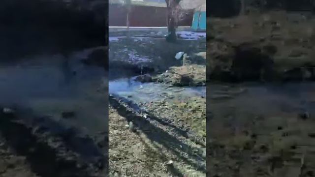 Зачем канализация, если есть арыки? смотреть онлайн