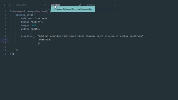 TinyMCE WYSIWYG Editor with File Manager Integration For Blog Posts