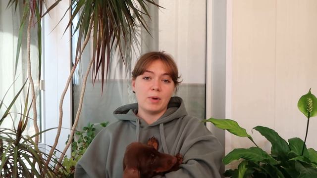 Восприятие / Психические процессы смотреть онлайн