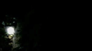 Патрон Барнаул 7.62х54 Охота на медведя