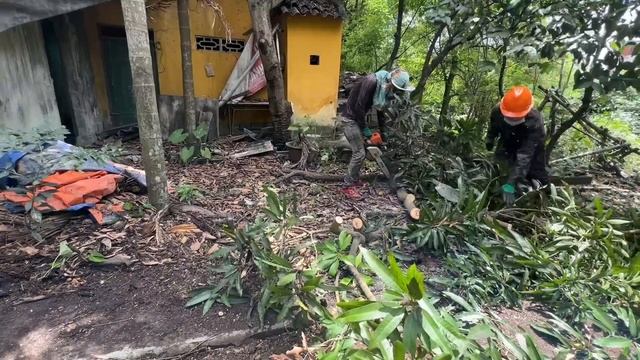 Neighbors Say The House Is An Overgrown Nightmare We Ventured To Mow The Lawn To Clean This Place U