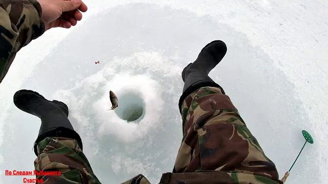 Отличный клев окуня/Весенняя рыбалка/Excellent bass bite/Spring fishing. смотреть онлайн