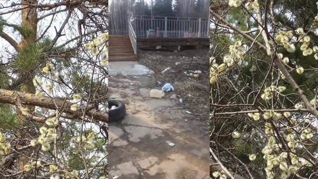 Берегите планету от мусора Март 2021 смотреть онлайн