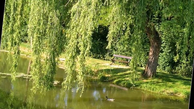 Авт исп Николай Малиновский Два обручальных кольца смотреть онлайн