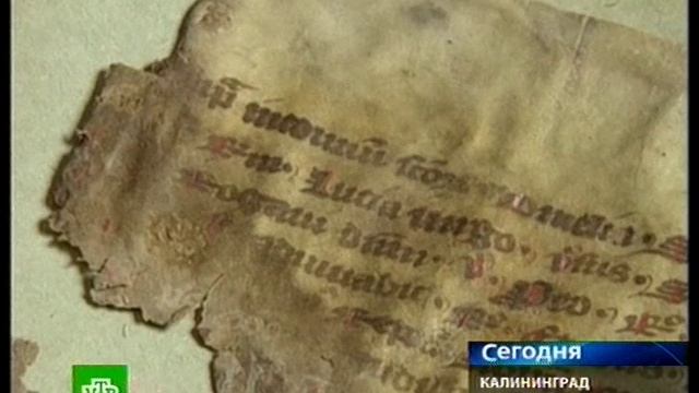 В поисках янтарной комнаты смотреть онлайн