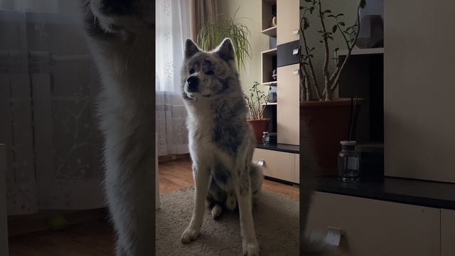 На нервах)) смотреть онлайн