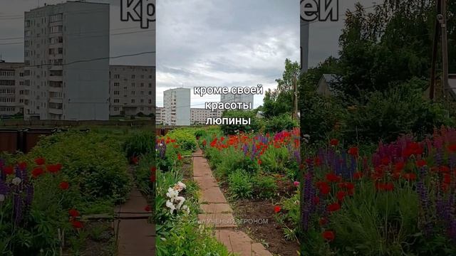 Люпин смотреть онлайн