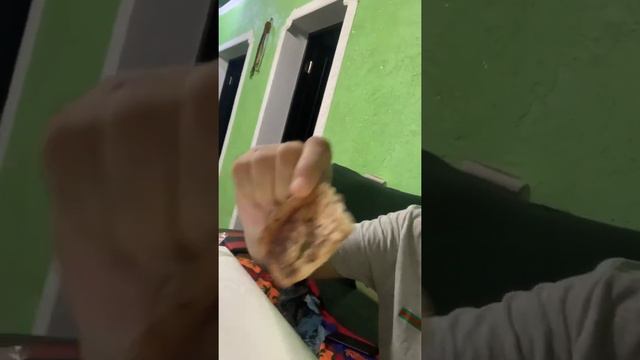 Курдюк лечебный,құйрық майдың емдік қасиеті зор смотреть онлайн