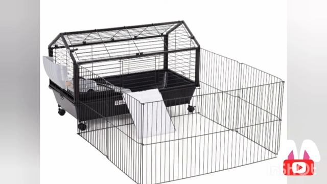 Карликовый декоративный кролик уход и содержание. смотреть онлайн