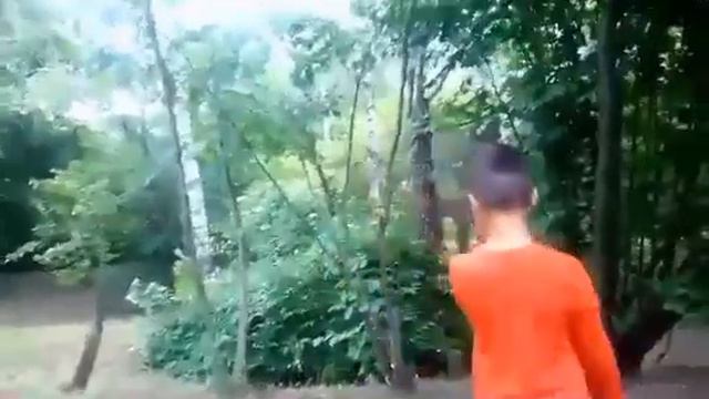 ЗАБЛУДИЛСЯ?????-------АГА!!!!!!!! ((Внук в 3 годика и 8 лет))Любимый лесок внука!!!!!!!! смотреть онлайн