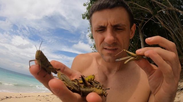 Выжить любой ценой. Подводная охота на гавайку будет завтра. Выживание на необитаемом острове №2 смотреть онлайн