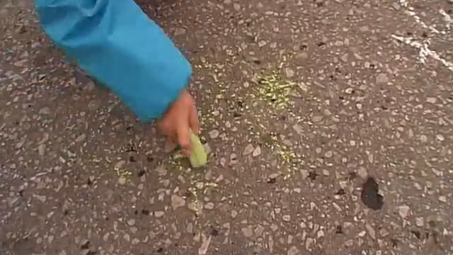 Я раскрашу целый свет в самый свой любимый цвет! смотреть онлайн