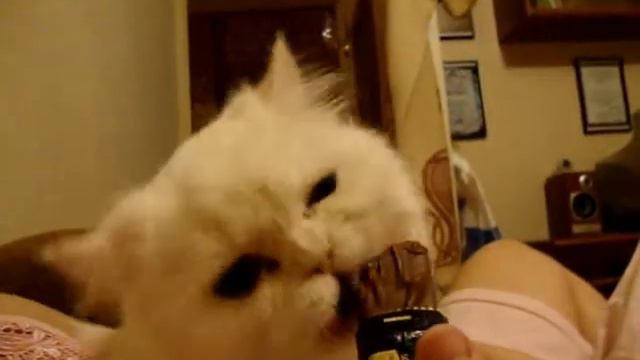 Марс это класс.wmv смотреть онлайн